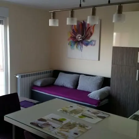 Sandra With Free Private Parking Apartment Rijeka