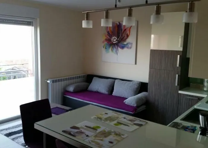 Sandra With Free Private Parking Apartament Rijeka